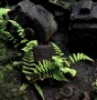 Atelier photo Tiers Paysage 