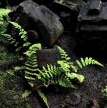 Atelier photo Tiers Paysage 