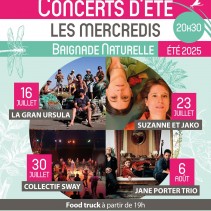 Concerts d'été à la baignade du Grand Chambord