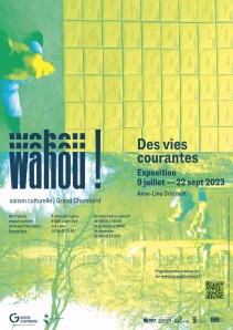 Des Vies courantes