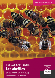 Expositions " Les abeilles"
