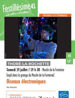 Oiseaux électroniques