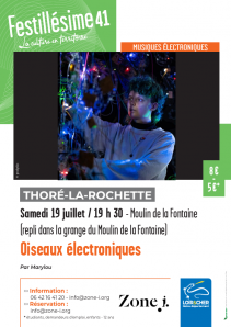 Oiseaux électroniques