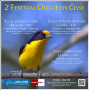 Festival orgue en Cisse