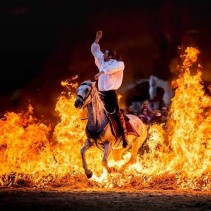 Compagnie Arvak (spectacle équestre)