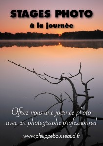 JARDIN DES ARTS (stages de photographie)