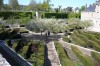 Jardin de simples et de fleurs royales