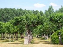 Jardins de l'abbaye de Pontlevoy