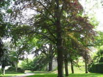 Parc du château de Vendôme