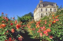 Roseraie des terrasses de l'Evêché