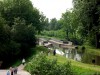 Pont canal (canal du Berry, Sauldre)