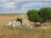 Dolmen de Cornevache, les Buits