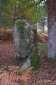 Menhir de Pierrefitte-sur-Sauldre