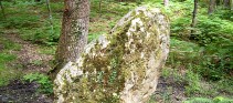 Menhir dit la Pierre-Frite de Grandmont, Champ du Bois