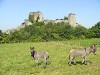 Visite commentée de la ville