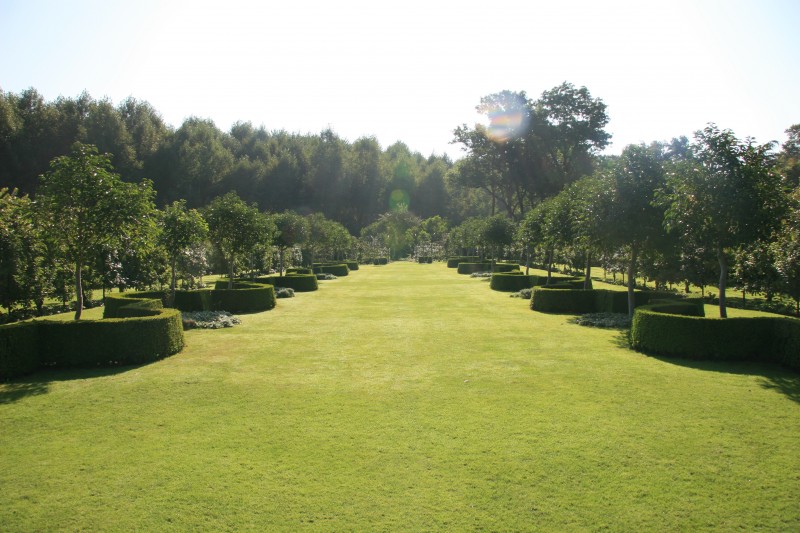 plessis_sasnieres_202005