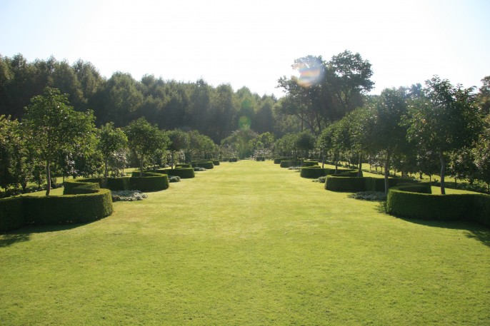 plessis_sasnieres_202005