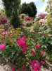 2025-01-09 08_46_56-Fwd_ [Nous contacter] Chiron-Charuaud - manon.corbeau@departement41.fr - Message