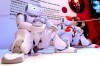 Exposition - Loir-et-Cher 2020 à Expo41 - les robots NAO