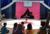 Pratiques amateurs - Les enfants font leur spectacle au Cirque Orsola (2012).