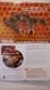 Exposition "Abeilles" : exmple de panneau