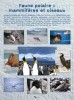Panneau 11, faune polaire : mammifères et oiseaux