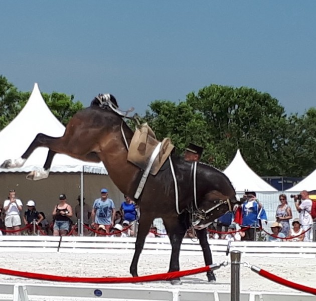 © Département de Loir-et-Cher – Pôle sports et animations