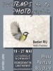 printemps de la photo
