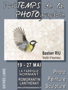 printemps de la photo