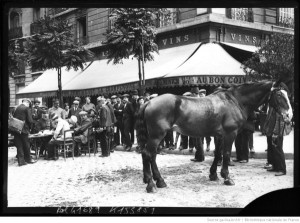 réquisition chevaux_BNF