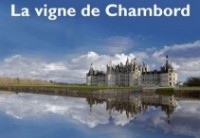 vigne-Chambord